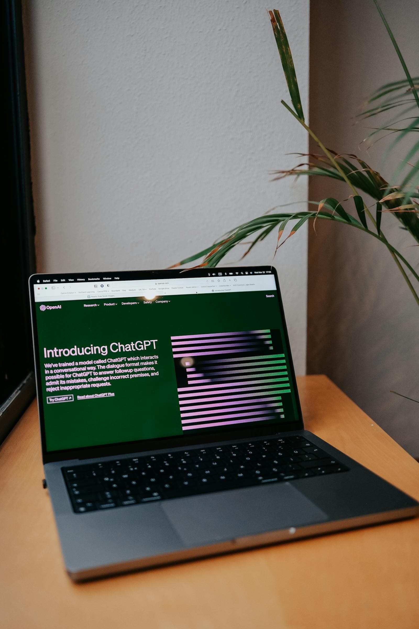 Modern AI & web work